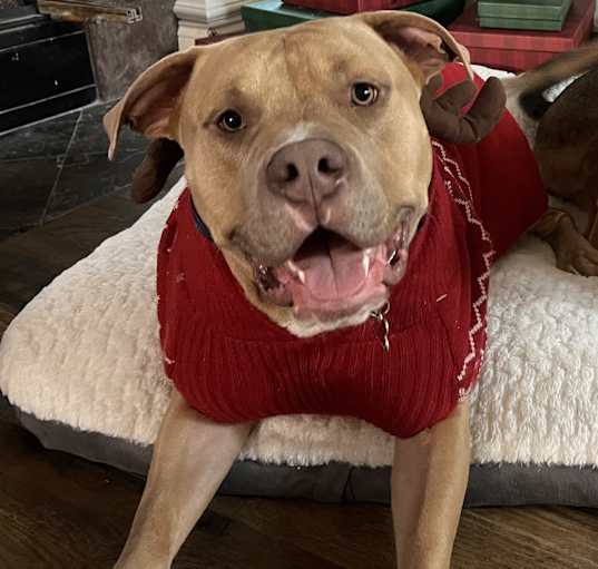 Photo of Bruce