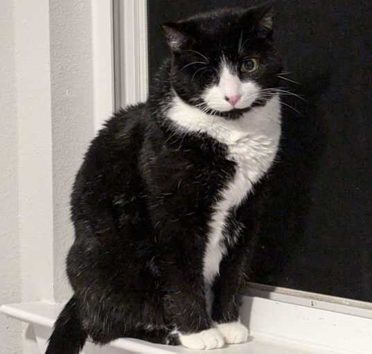 Photo of Jack