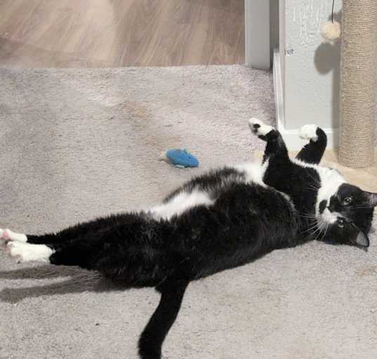 Photo of Jill