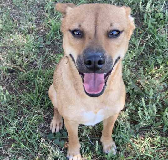 Photo of Canela