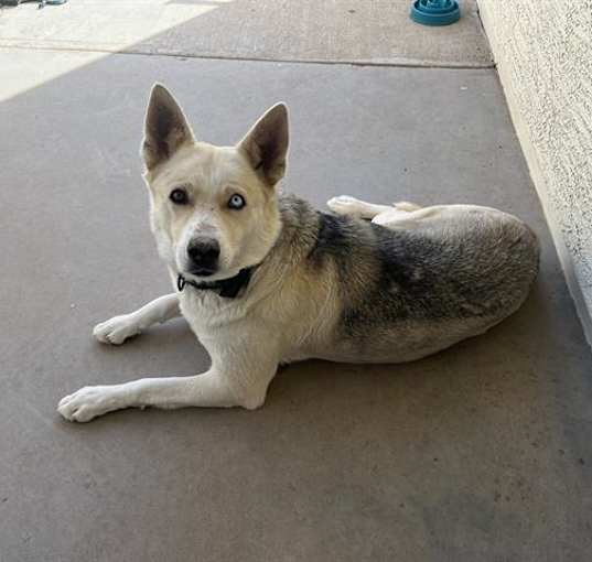 Photo of LAYLA