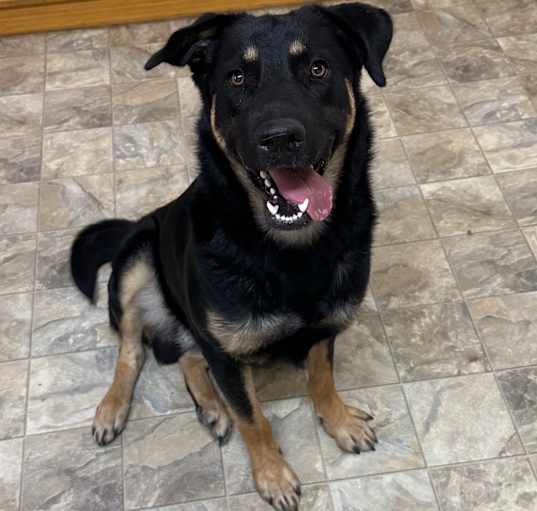 Photo of Maxx