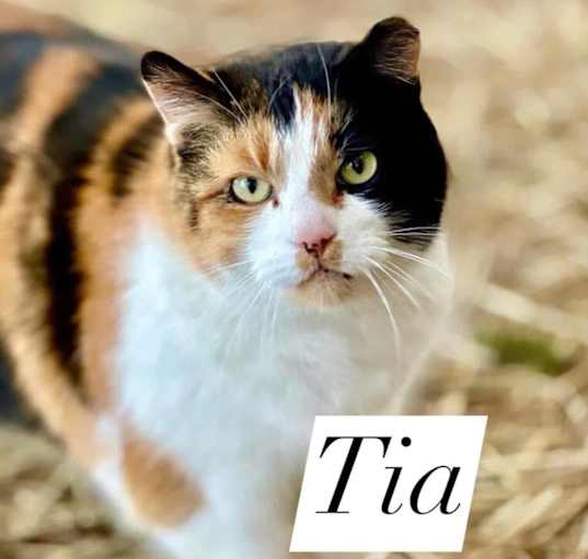 Photo of Tia