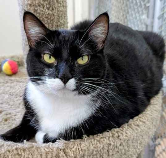 Photo of Mama Cookie