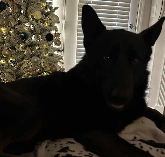 Photo of Junior