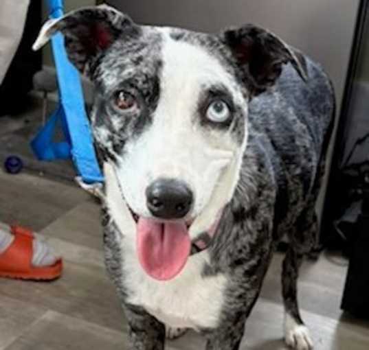Photo of Whoopie
