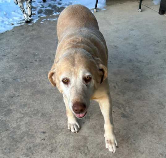 Photo of Hattie