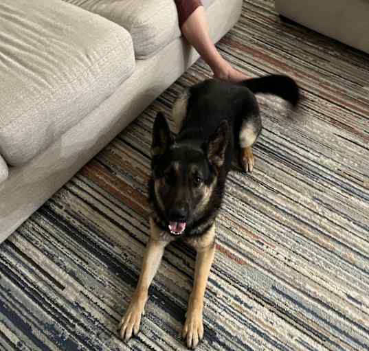 Photo of Tank