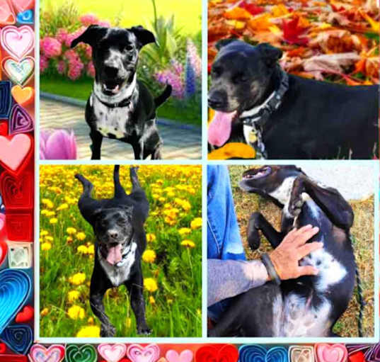 Photo of Zadie-Hesperia, CA