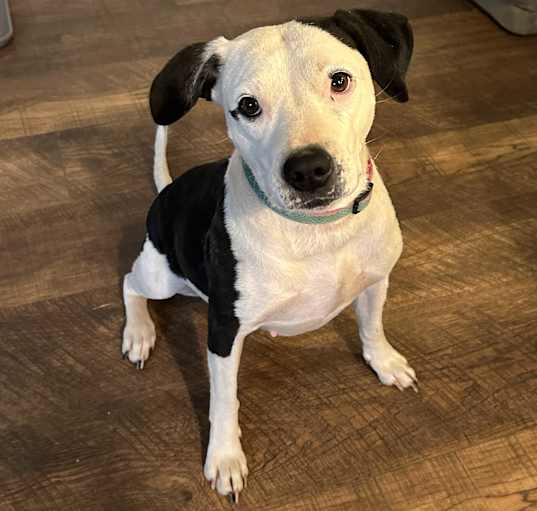 Photo of Maggie