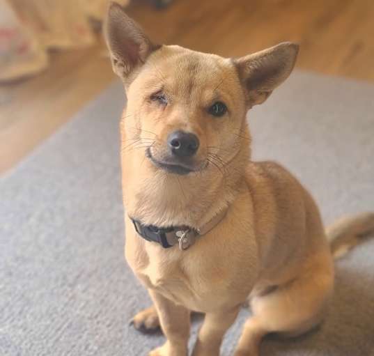 Photo of Mimi