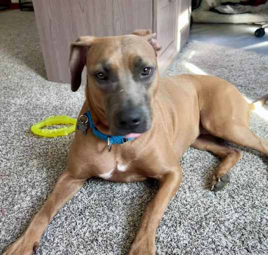 Photo of Blu