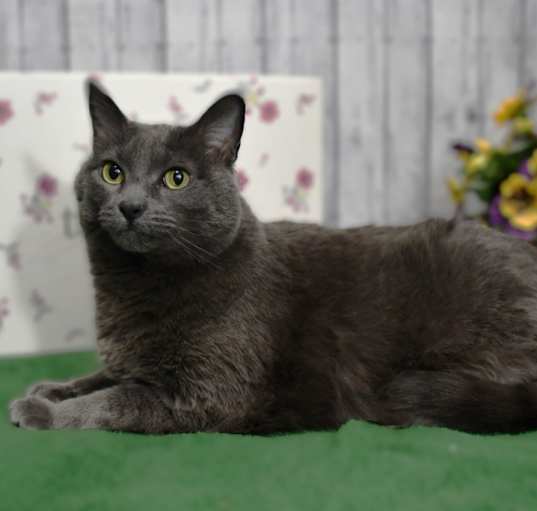 Photo of Esmeralda