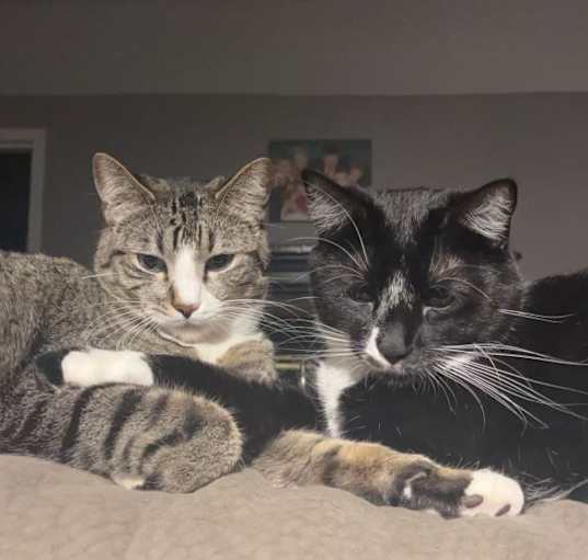 Photo of Doug & Kevin