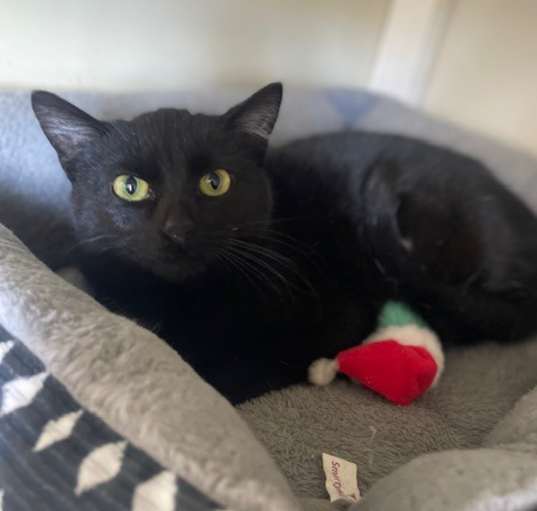 Photo of spice