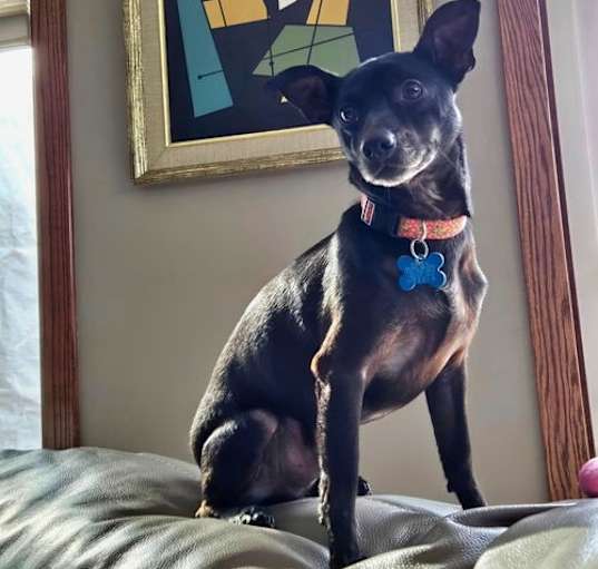 Photo of Denny