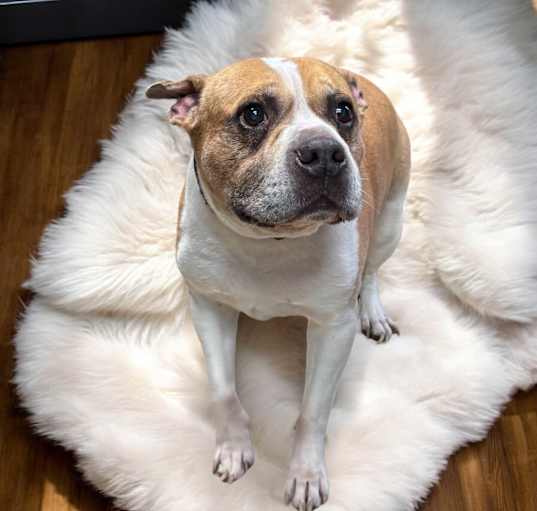 Photo of Mackie