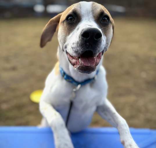 Photo of Paxton