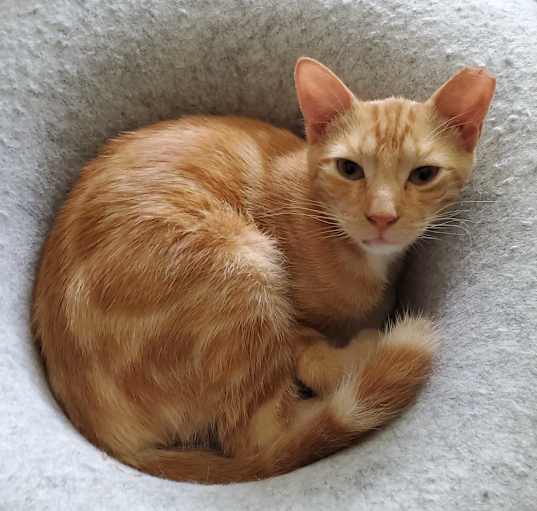 Photo of Reggie