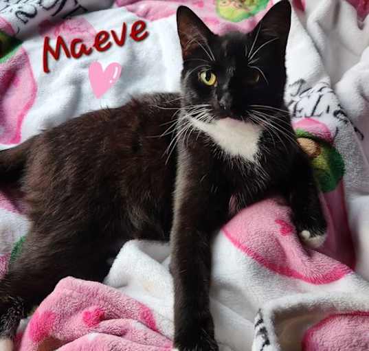 Photo of Maeve