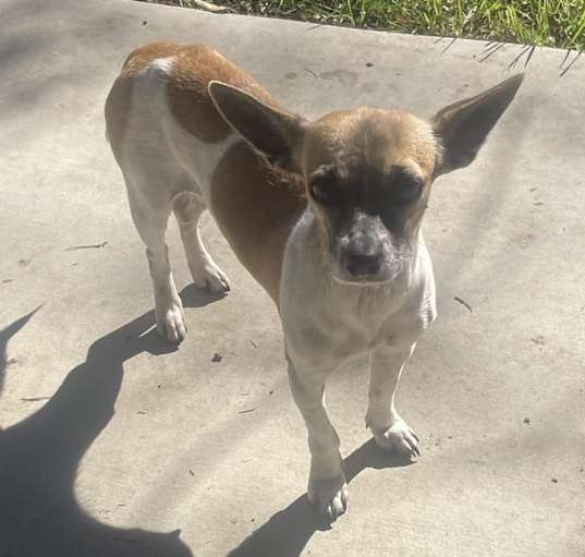 Photo of Lily