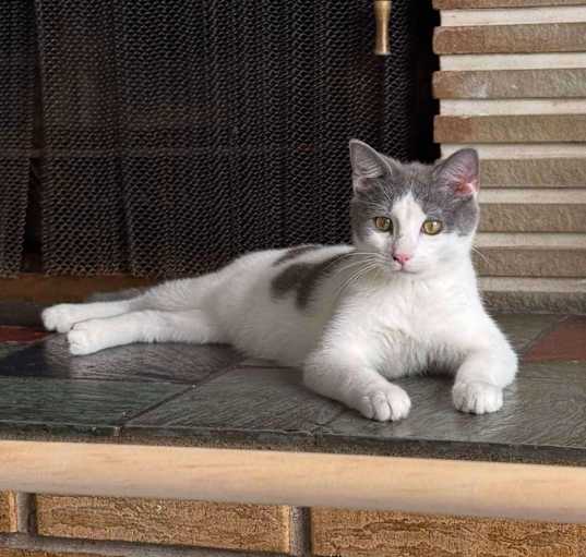 Photo of Harper
