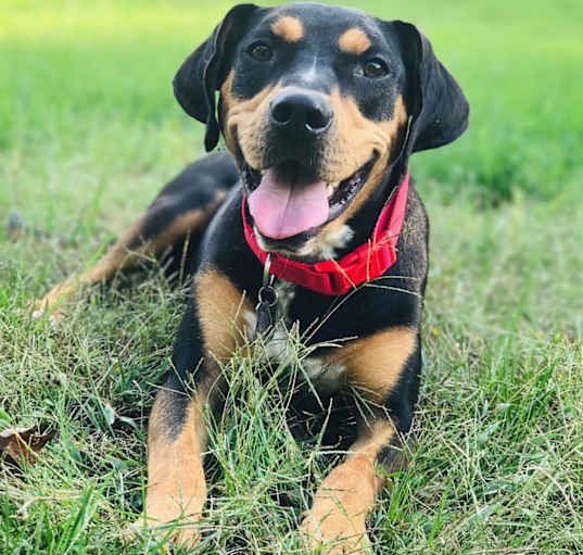 Photo of Max
