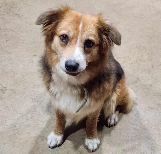 Photo of LuLu