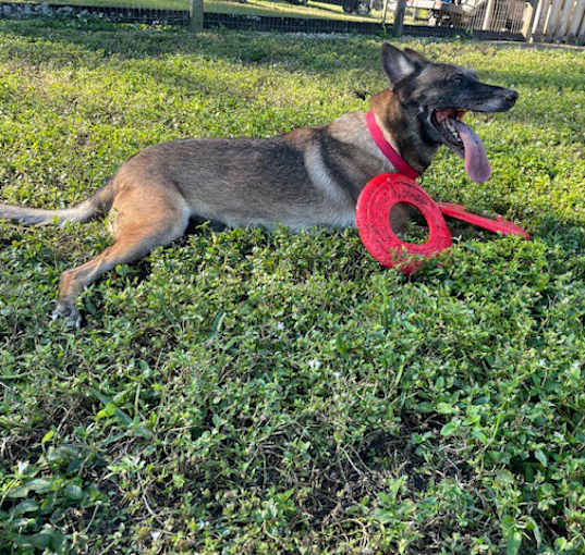 Photo of Maggie