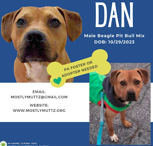 Photo of Dan