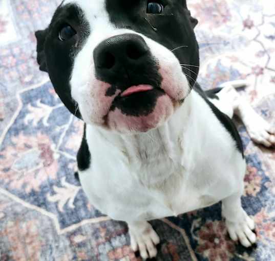 Photo of Sally