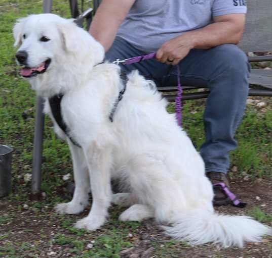 Photo of Athena