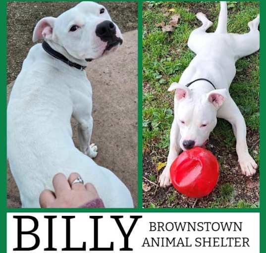 Photo of BILLY