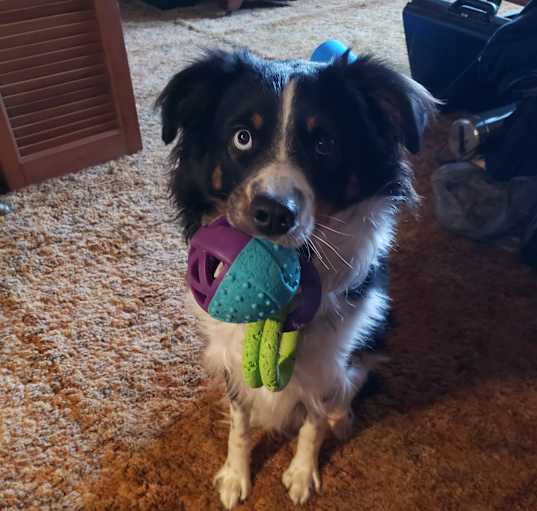 Photo of Murphy