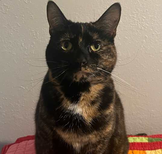 Photo of Evie