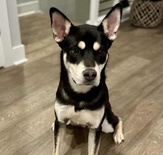 Photo of LUNA