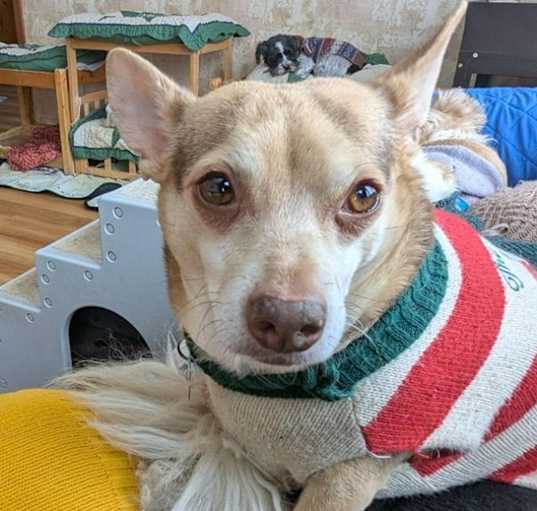 Photo of Jude