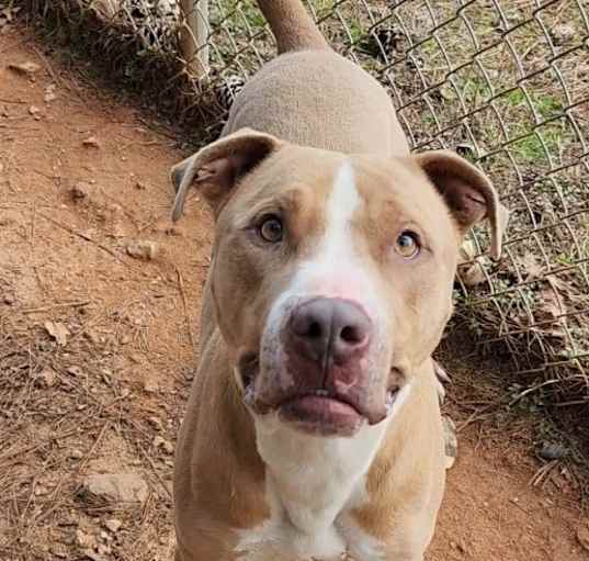 Photo of Cash