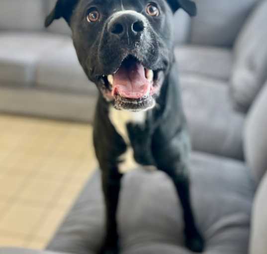 Photo of Walter