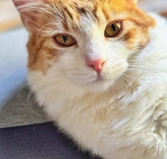 Photo of Princess Dasha