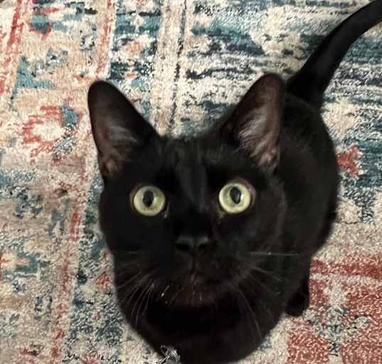 Photo of Floyd