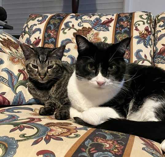 Photo of Peyton & Melvin