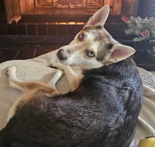 Photo of Fay