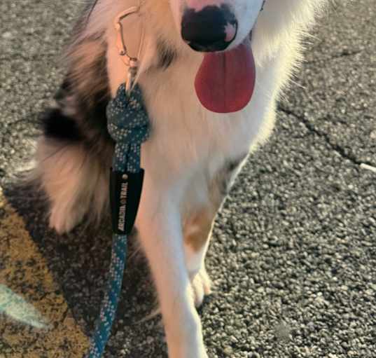 Photo of Deku