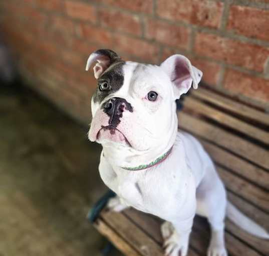 Photo of WANDA