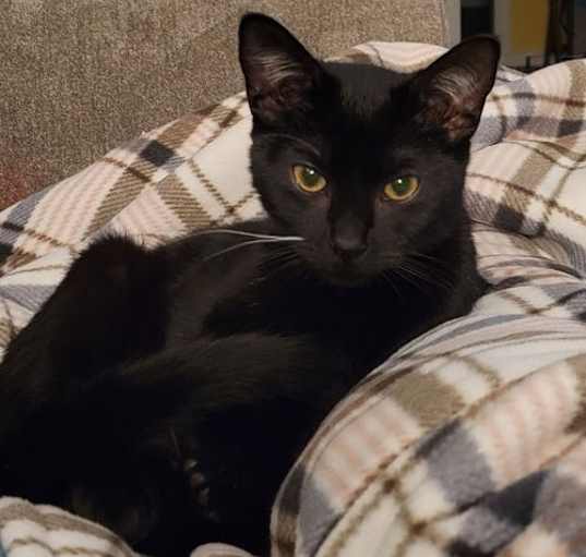 Photo of Buster
