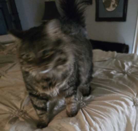 Photo of Frankie Jane