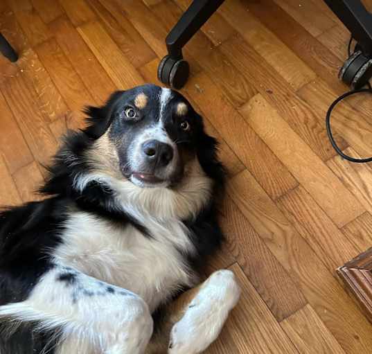 Photo of Walter