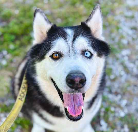 Photo of Bella