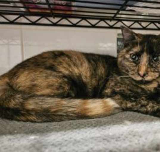 Photo of Wild Thing